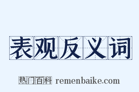 表观反义词是什么意思的图片